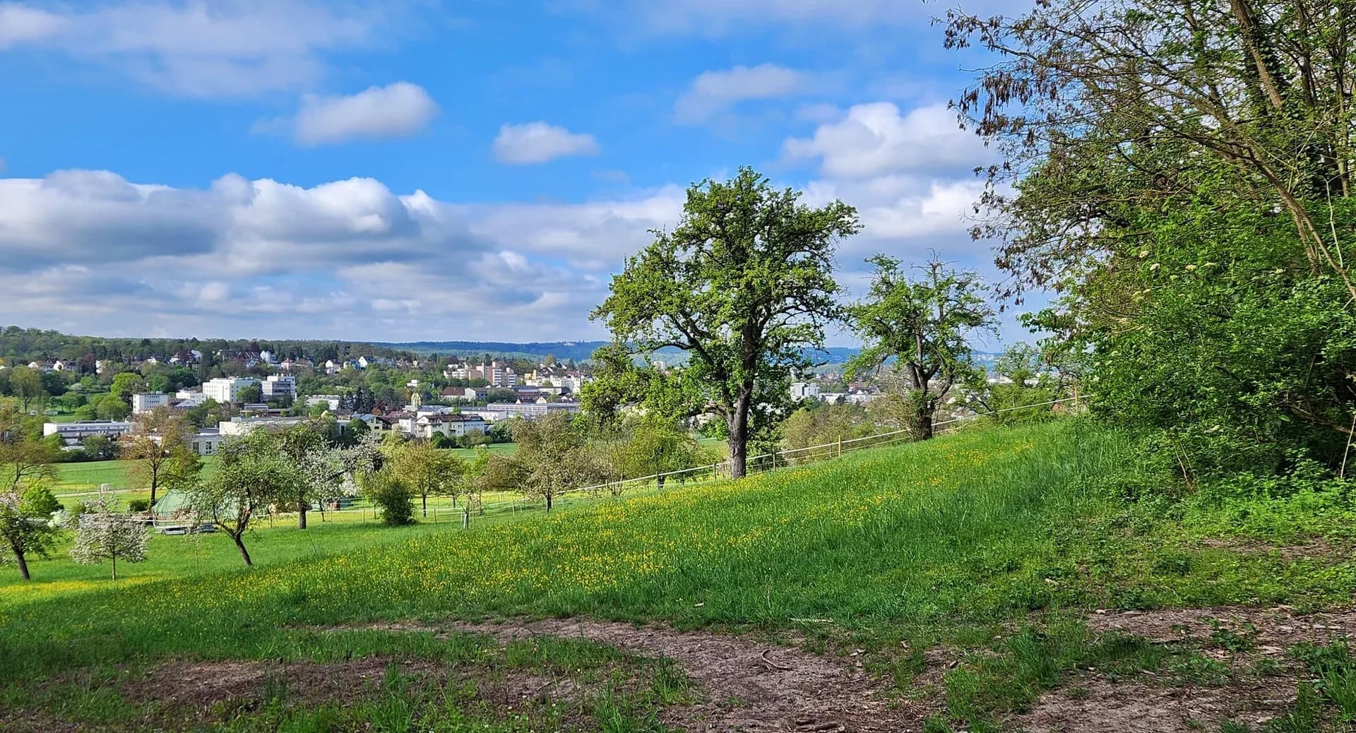 Blick über Korntal-Münchingen vom Grünen Heiner